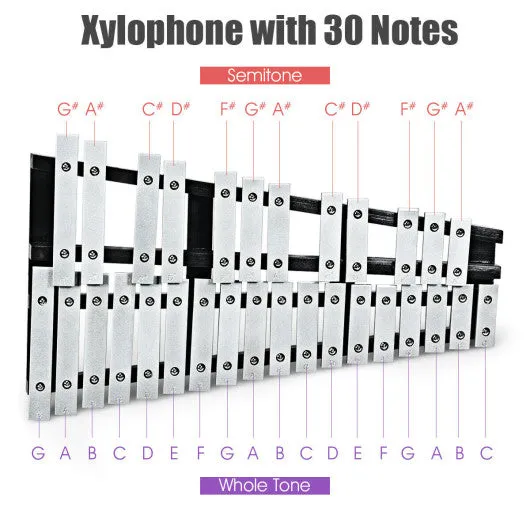 Foldable Aluminum Glockenspiel Xylophone 30 Note with Bag